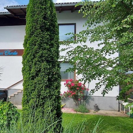 Appartements Das Charlie Ebensee Zewnętrze zdjęcie
